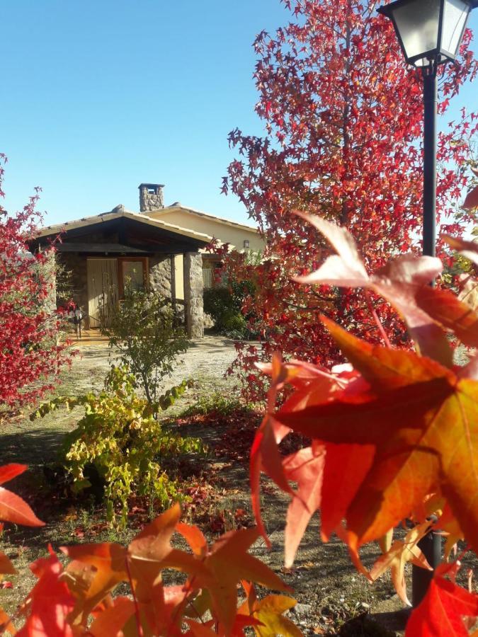 Casa Rural Amarilla Ávila Eksteriør bilde